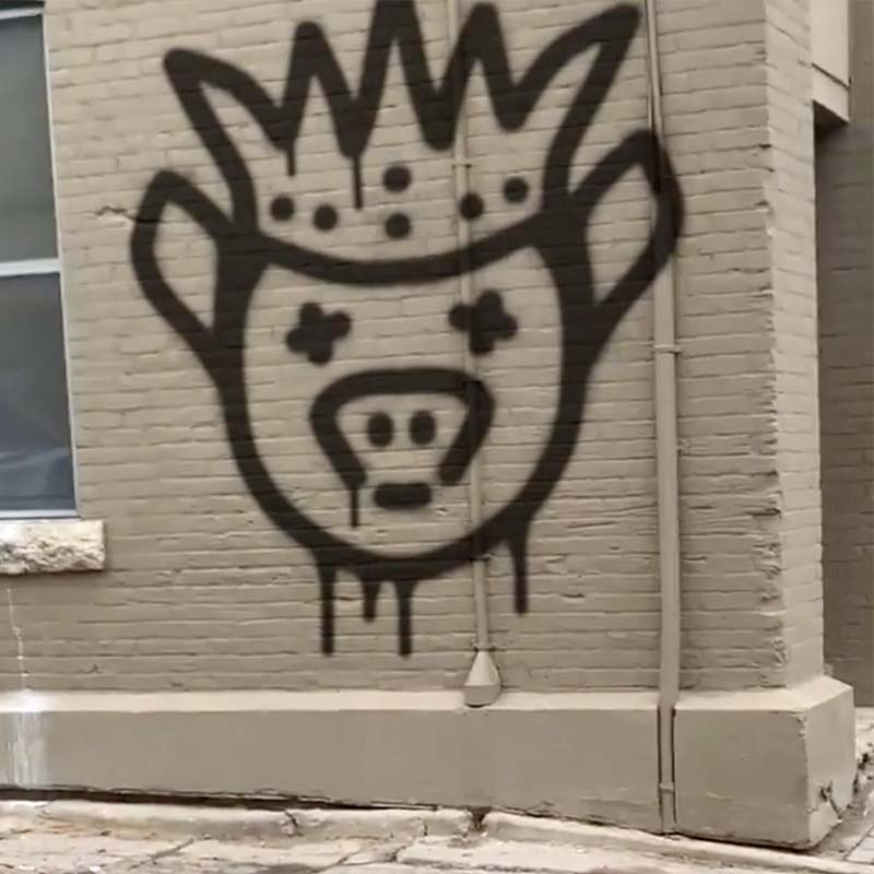 Still shot of a wall with a graffiti pig wearing a crown with 'x's for eyes