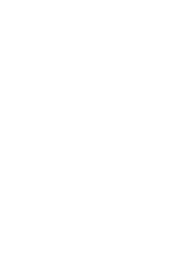 Stone Cold Studios Brand Logo