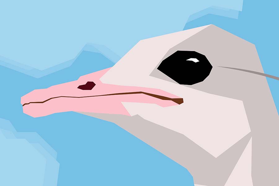 Up-close look at stylized head of an ostrich