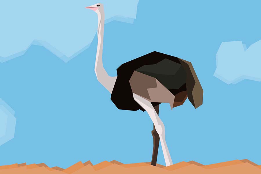 Stylized Ostrich standing in an open field