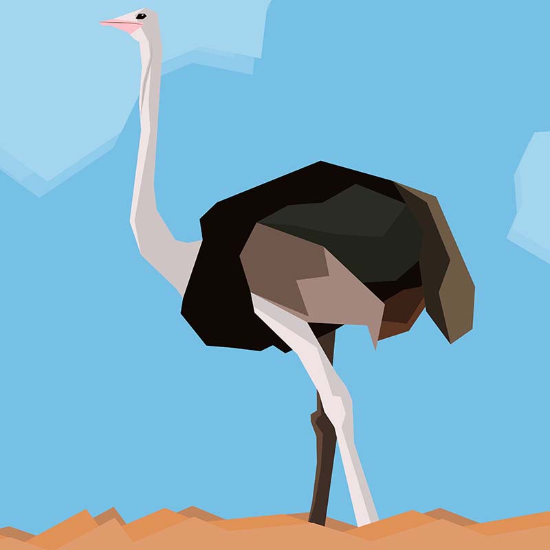 Stylized Ostrich standing in an open field